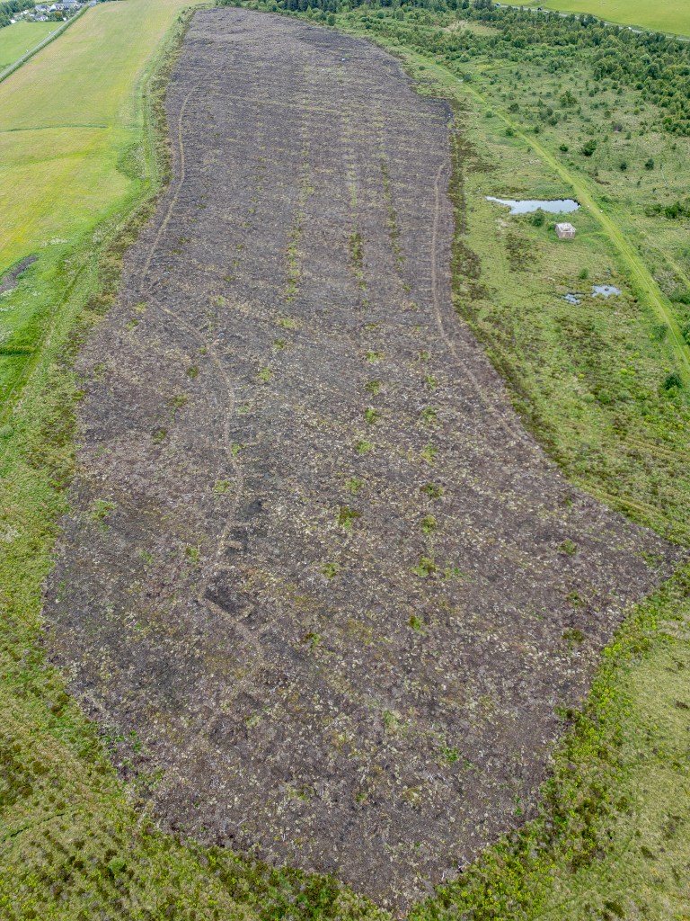 Leadburn Moss June 2025