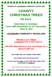 Download the Flyer (pdf)