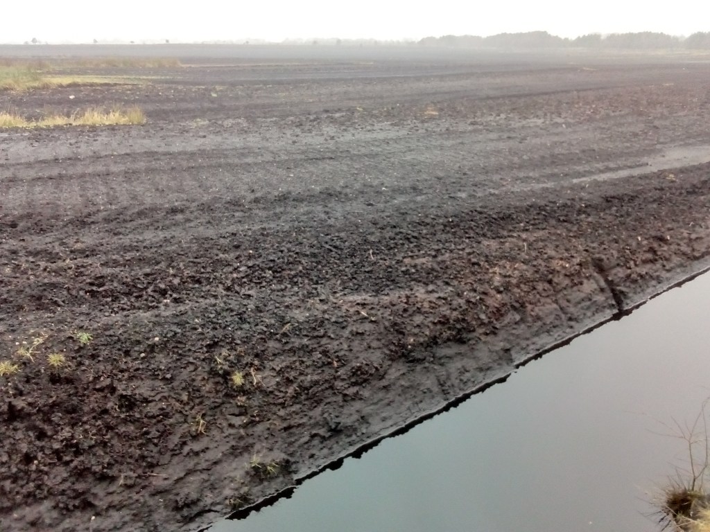 Peat extraction area at Springfield Moss devoid of any vegetation
