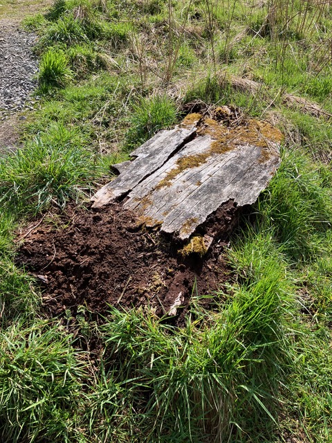 old bench returns to the soil