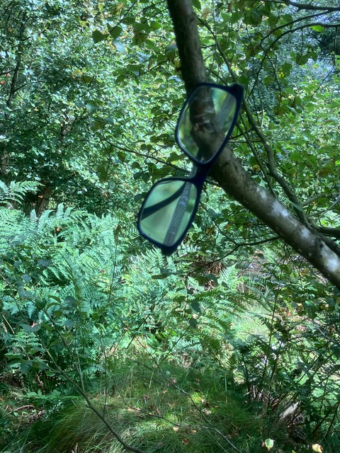 Lost glasses